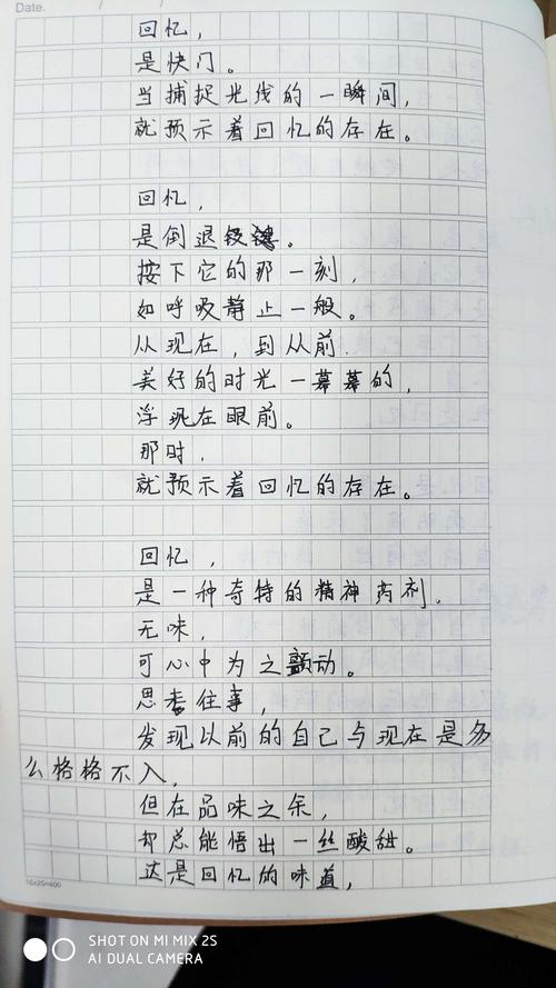 小学自创小诗歌