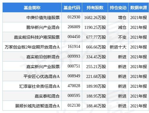 绿盟科技集团股份