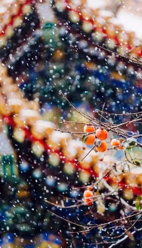 雪花纷飞下一句