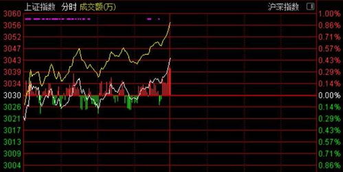 沪指震荡走高涨逾1 特斯拉概念股活跃