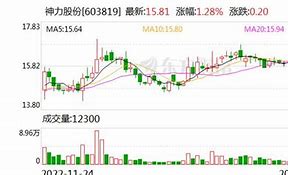 神力股份年度分红方案解析股权登记日与每股派息的影响