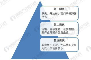 普门科技拟亿元投建体外诊断试剂项目