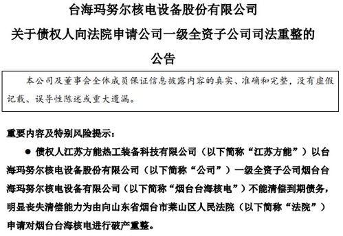 棒杰股份关键新能源子公司陷破产重整危机相关负责人不久前已离职